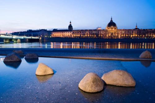 a group of rocks in the water in front of a building at Hôtel Le Roosevelt Lyon in Lyon