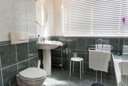 bagno con servizi igienici e lavandino di Prinsen Apartment ad Amsterdam