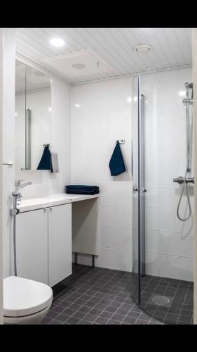 a bathroom with a toilet and a sink and a shower at Trendy Homes Oulu Marski Apartments in Oulu