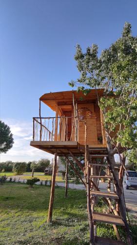 Gallery image of Dream catcher treehouse in Preveza