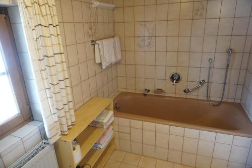 La salle de bains est pourvue d'une baignoire et d'une douche. dans l'établissement Pension & Fewos Fuchs, à Mauth