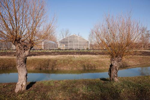 two trees sitting next to a body of water at Casa Di Anna - Fattoria Sociale in Mestre