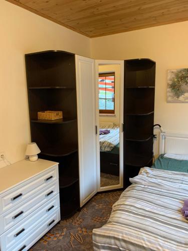 a bedroom with a bed and a dresser and a mirror at Penzion U Orla in Petříkov
