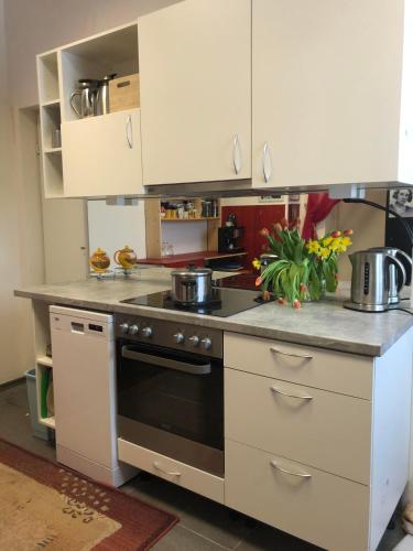 Cuina o zona de cuina de Stuudio