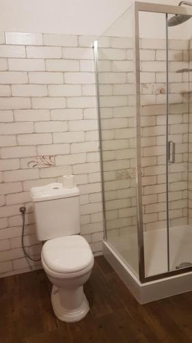 a white bathroom with a toilet and a shower at Dziewanna in Brzeziniec