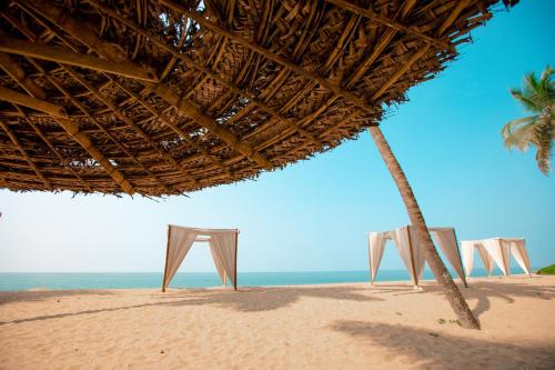 a row of chairs on a beach with a straw umbrella at Malabar Ocean Front Resort And Spa, Bekal in Nīleshwar