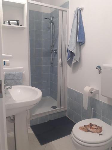 a bathroom with a shower and a toilet and a sink at La Casa di Berenice a Porto Azzurro in Porto Azzurro