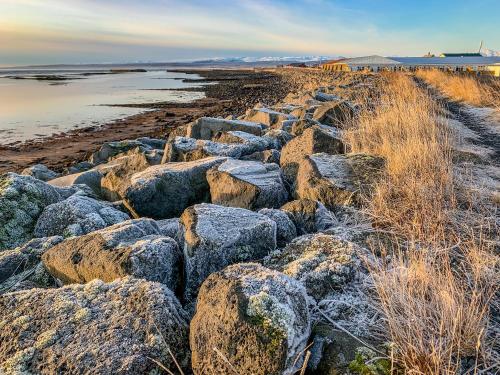 a group of rocks on a beach near the water at Bakki Apartments & Hostel in Eyrarbakki