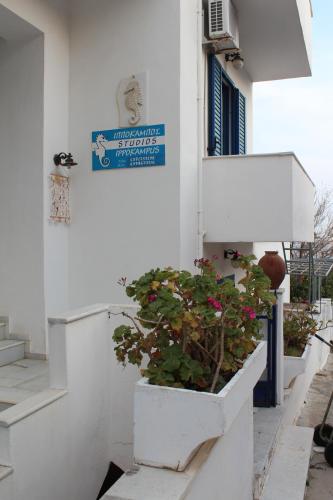 znak na boku budynku z rośliną w obiekcie Hippocampus Studios 2' walk from the sea w mieście Moutsoúna