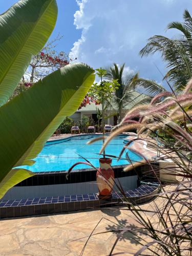a swimming pool with palm trees and a resort at Highland Bungalows in Nungwi