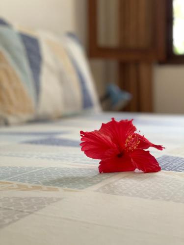 a red flower sitting on top of a bed at Highland Bungalows in Nungwi