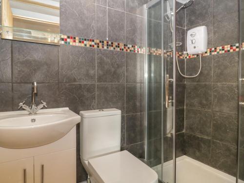 a bathroom with a toilet and a sink and a shower at Tiny Willow in Blandford Forum