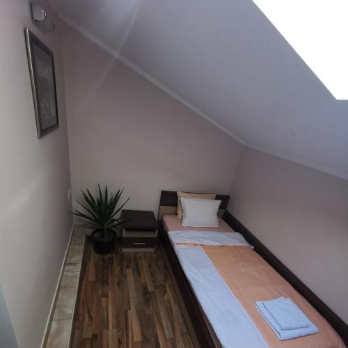 a room with two beds and a plant at Kafana Zlatna Ribica in Golubac