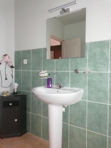 a bathroom with a white sink and a mirror at La Parisiere in Gavray