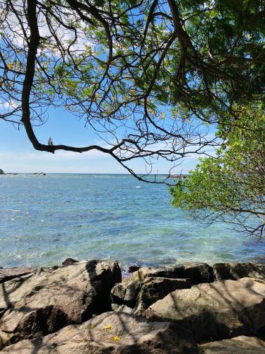 a view of the ocean with rocks and a tree at The Mango Leaf in Matara
