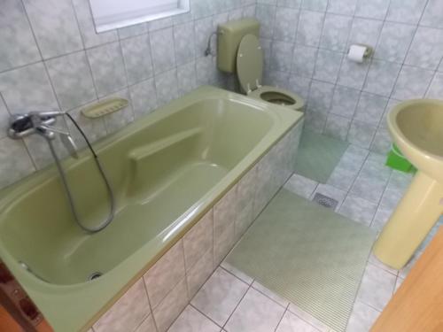 Kúpeľňa v ubytovaní Studio apartment in Vir (4776-3)