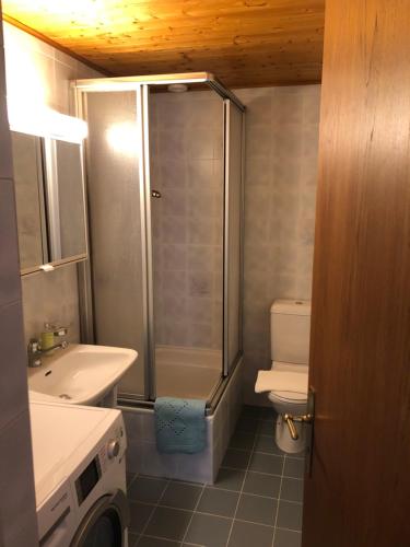 La salle de bains est pourvue d'une douche, de toilettes et d'un lavabo. dans l'établissement Ristorante Stazione, à Tesserete