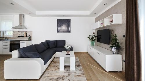 Villa Celtis – Photos 5
