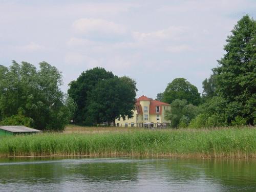a house on a hill next to a body of water at Landhotel Am Peetscher See in Mirow