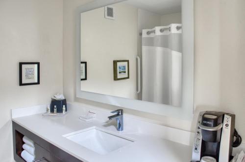 uma casa de banho com um lavatório e um espelho grande em Holiday Inn Mobile West I-10, an IHG Hotel em Tillmans Corner