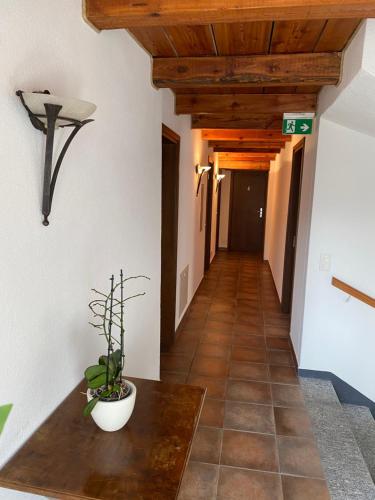 a hallway with a potted plant on a table at Osteria Vittoria in Lavertezzo