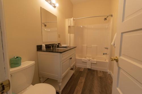 ein Bad mit einem Waschbecken, einem WC und einer Dusche in der Unterkunft Tea Island Resort in Lake George