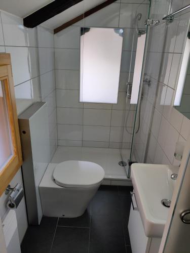 uma casa de banho com um WC e um lavatório em Little Chalet Pirelli 1783 em Interlaken