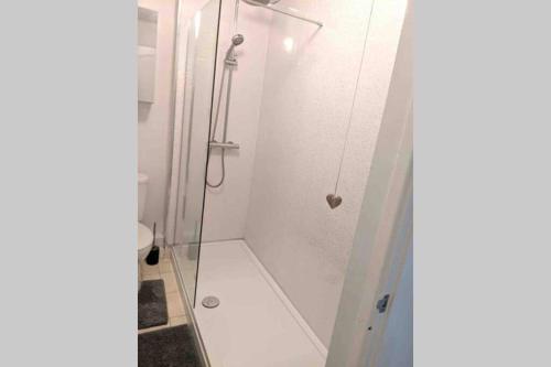 een douche met een glazen deur in de badkamer bij Hidden Gem in the Bay 10 Mins from WMC in Cardiff