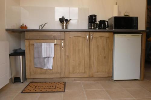 eine Küche mit einer Spüle und einem Kühlschrank in der Unterkunft Gîte L'EAU VIVE in Noyers