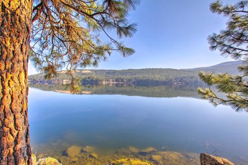 a view of a lake through a pine tree at Luxurious Liberty Lake Hideaway with Hot Tub! in Liberty Lake