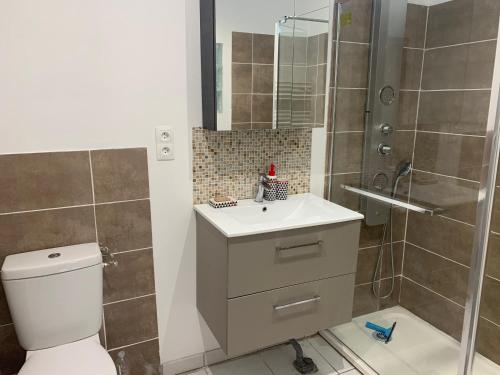 une salle de bain avec une douche, des toilettes et un lavabo dans l'établissement LE GITE COTE D OPALE, à Calais