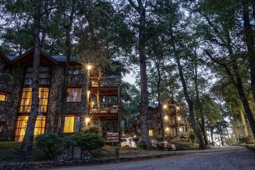 a large house in the middle of a forest at Paihuen - Resort De Montaña in San Martín de los Andes