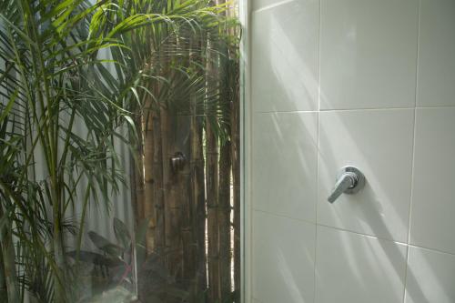 Fotografie z fotogalerie ubytování Zensus Eco Boutique Hotel v destinaci Bacalar