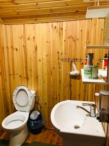 een houten badkamer met een toilet en een wastafel bij У Віти номер3 in Synevyrsʼka Polyana