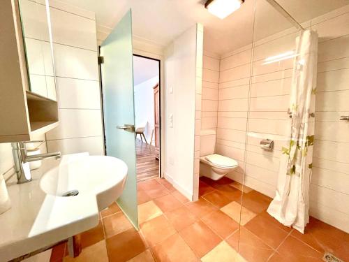 a bathroom with a sink and a toilet at Pilatus Apartments in Alpnach