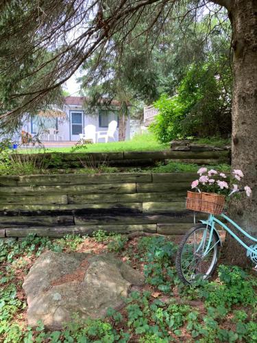 a bike parked next to a tree with flowers in a basket at Beachside on Lake Muskoka in Port Carling