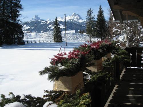 a porch with christmas plants in the snow at Chalet Nyati in Gstaad