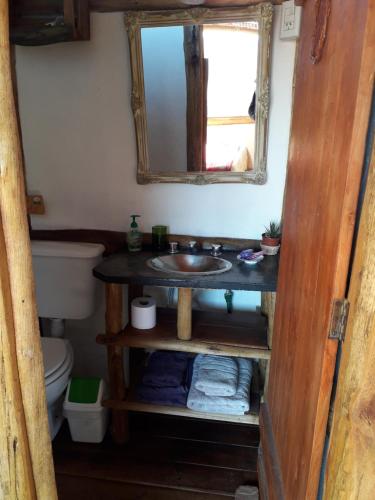 y baño con lavabo, espejo y aseo. en Cabaña La Linda - Complejo El Taller en Potrerillos