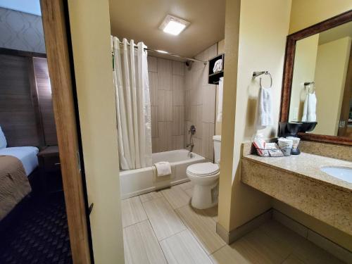 水鎮的住宿－Ramkota Hotel Watertown，浴室配有卫生间、浴缸和水槽。