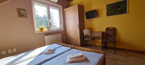 a bedroom with a bed and a television and a window at Hajas Família Kiadó Szobák in Balatonmáriafürdő