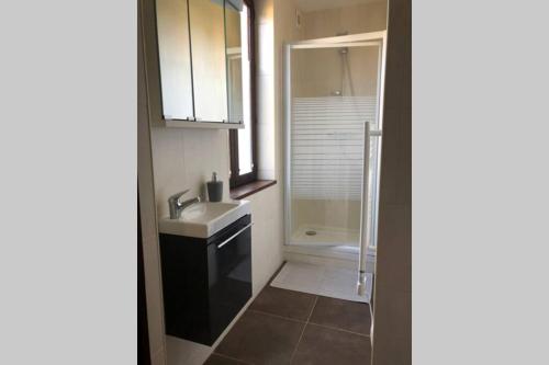 a small bathroom with a sink and a shower at Studio de la porte de Samois in Moret-sur-Loing