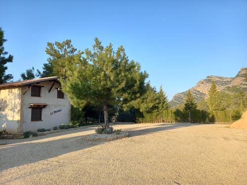 ein Haus und ein Baum mitten auf einer Straße in der Unterkunft La Pedrera in Beceite