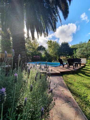 a garden with two benches and a swimming pool at Nagual B&B - Airport Shuttle in Tristán Suárez