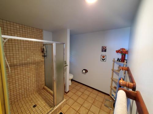 a bathroom with a shower and a toilet at A Beautiful Edge of the World Bed & Breakfast in Captain Cook
