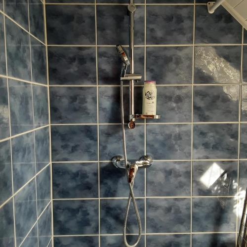 a shower with a shower head in a bathroom at Jázmin Apartman in Tihany