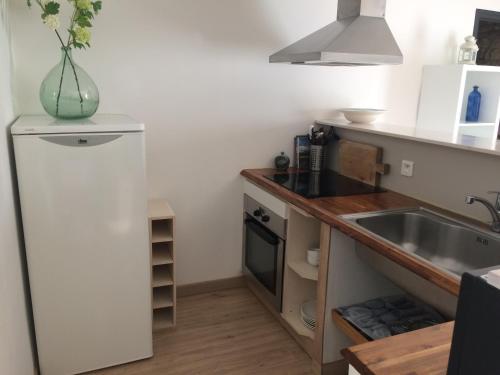 eine kleine Küche mit Spüle und Kühlschrank in der Unterkunft Gîte la peille in Cordemais