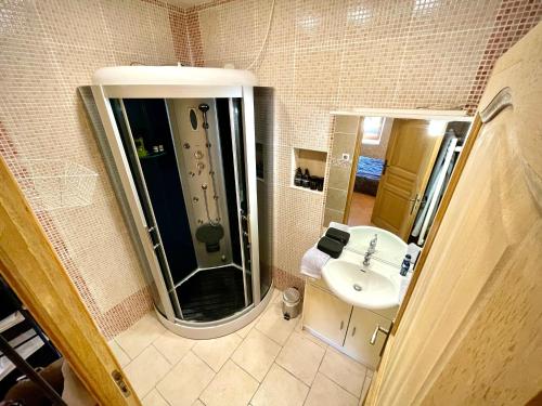 un bagno con doccia e lavandino di Cottage du Capiol en Périgord a Cénac-et-Saint-Julien