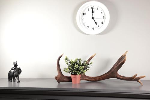 a clock on a white wall above a table with a plant at la perle grise de la semois in Bouillon