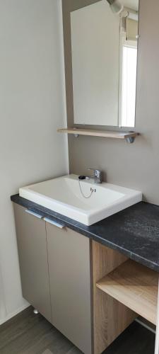 une salle de bain avec un lavabo blanc et un miroir dans l'établissement Assist' Mobil Home 348 - mobil home 3 chambres tout confort, à Onzain