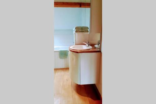 een badkamer met een wastafel en een spiegel bij Private farmhouse for six in the countryside in Saint-Pierre-sur-Orthe